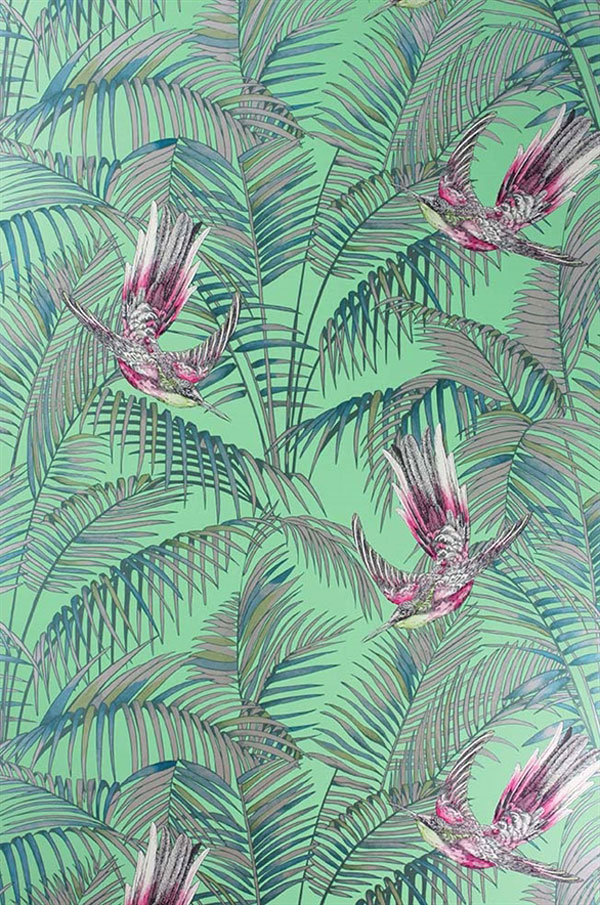Tapete Matthew Williamson sunbird Eden