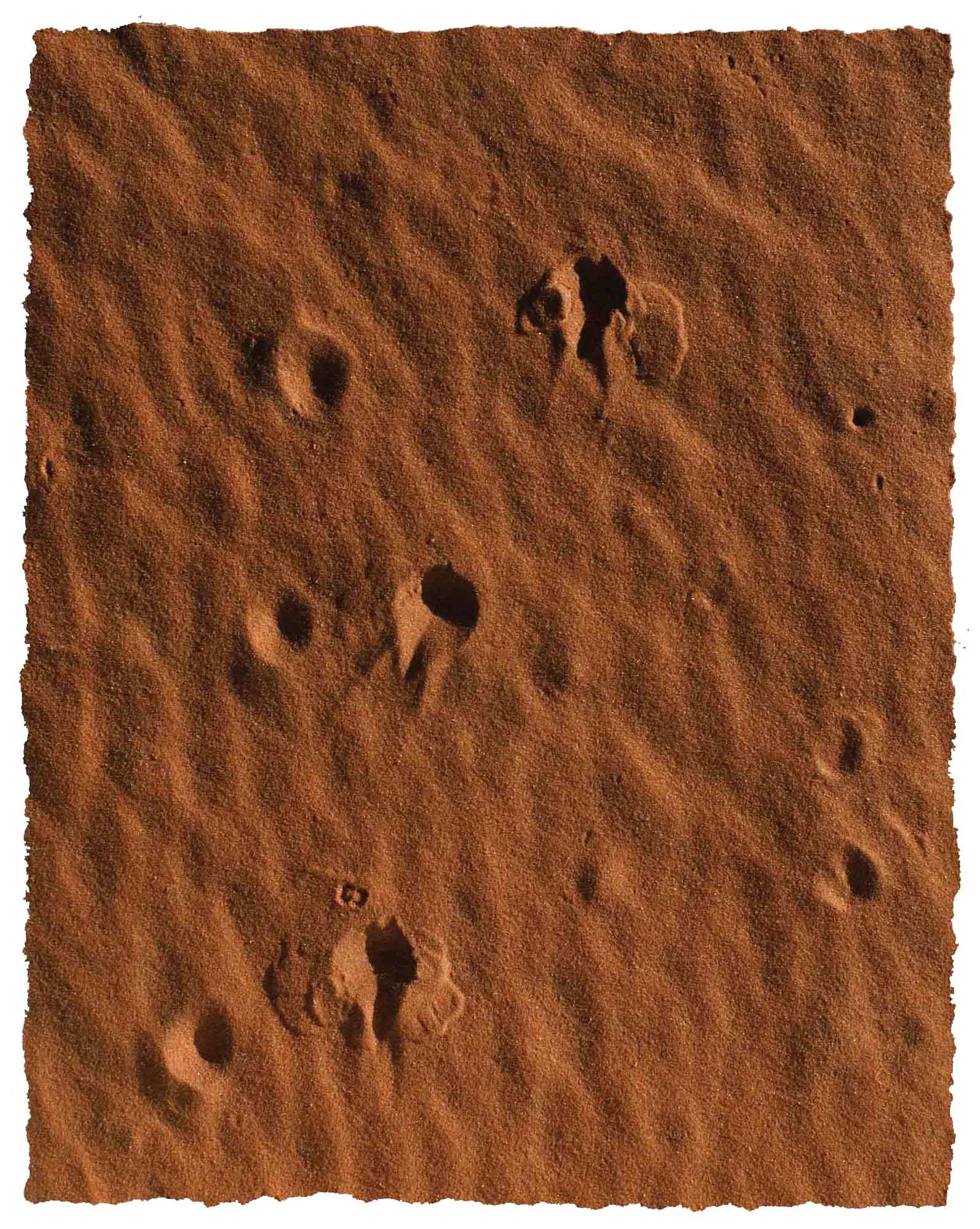 Sand 90x70cm Tapete online kaufen