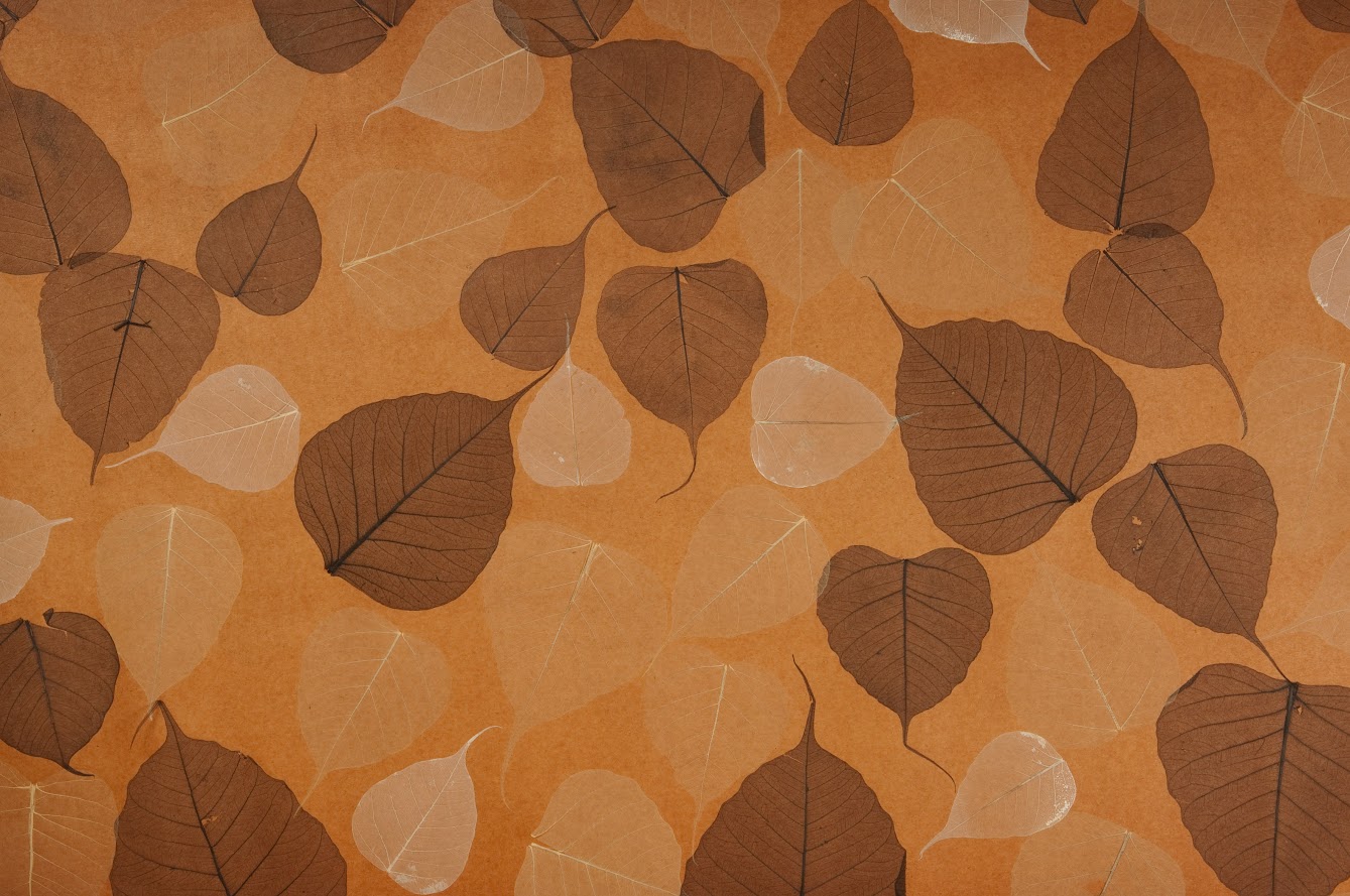 Tapeten echte Blätter auf Papiertapete diverse Hersteller - wotex - aus Deutschland online kaufen