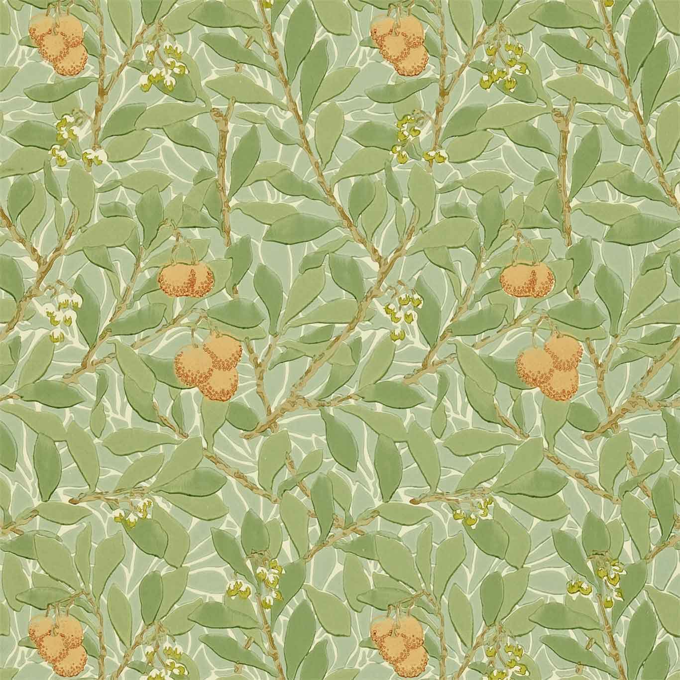 Tapeten Morris Arbutus